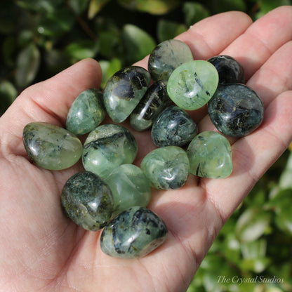 Prehnite Polished Crystal Tumblestones