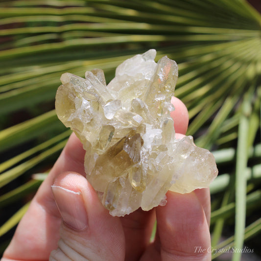 Citrine Small Natural Crystal Cluster