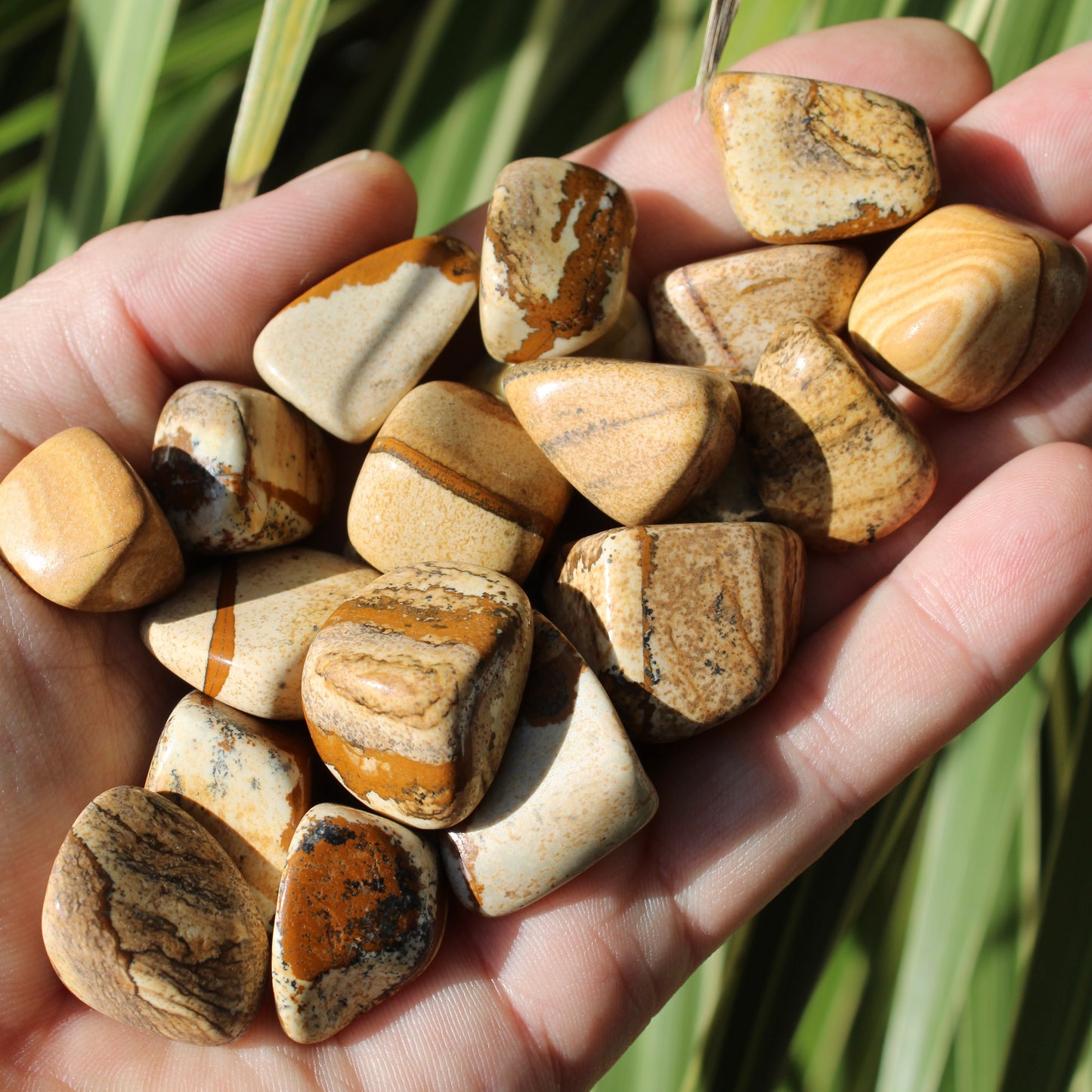 Picture Jasper Polished Crystal Tumblestones