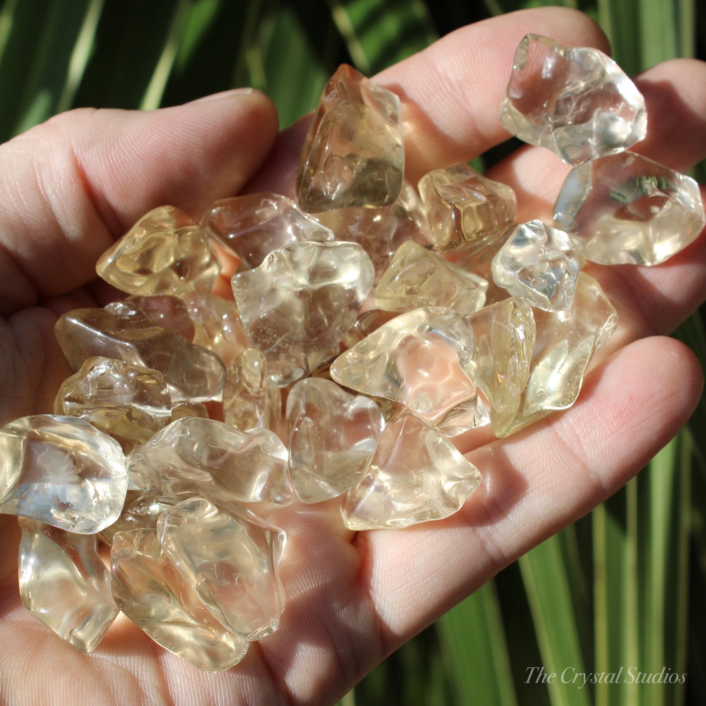 Natural Citrine Lightly Tumbled Crystal Set