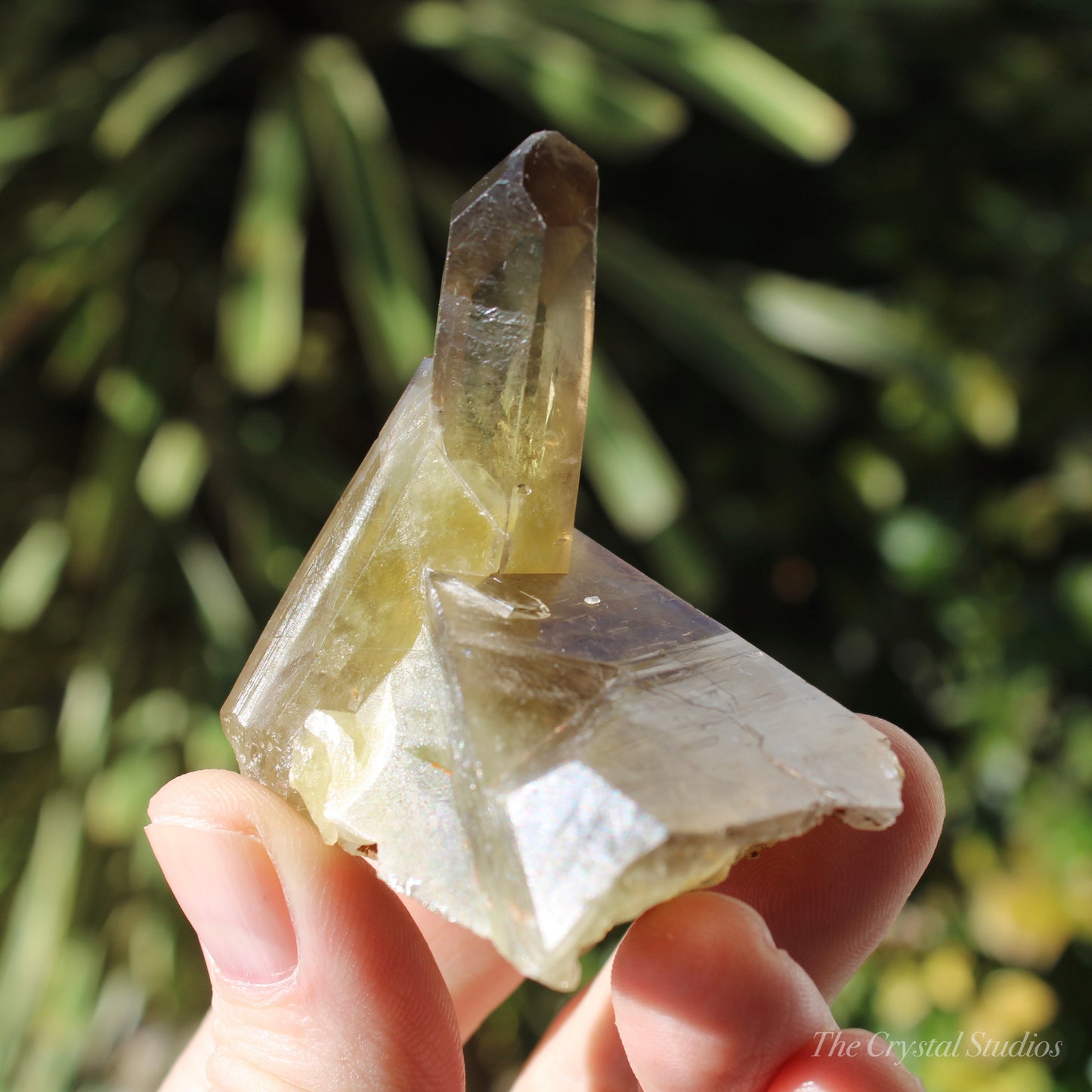 Smokey Citrine Natural Crystal Cluster