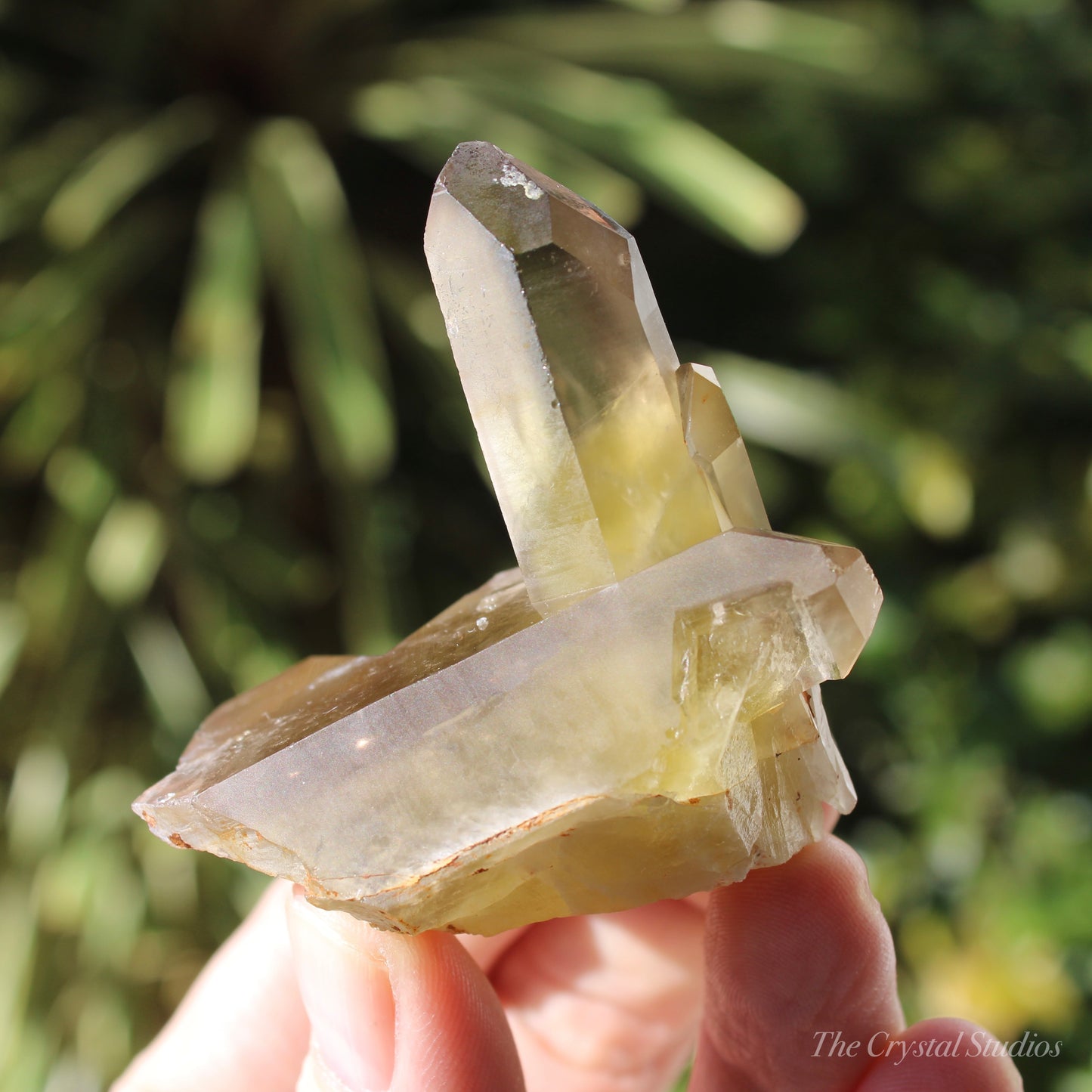 Smokey Citrine Natural Crystal Cluster