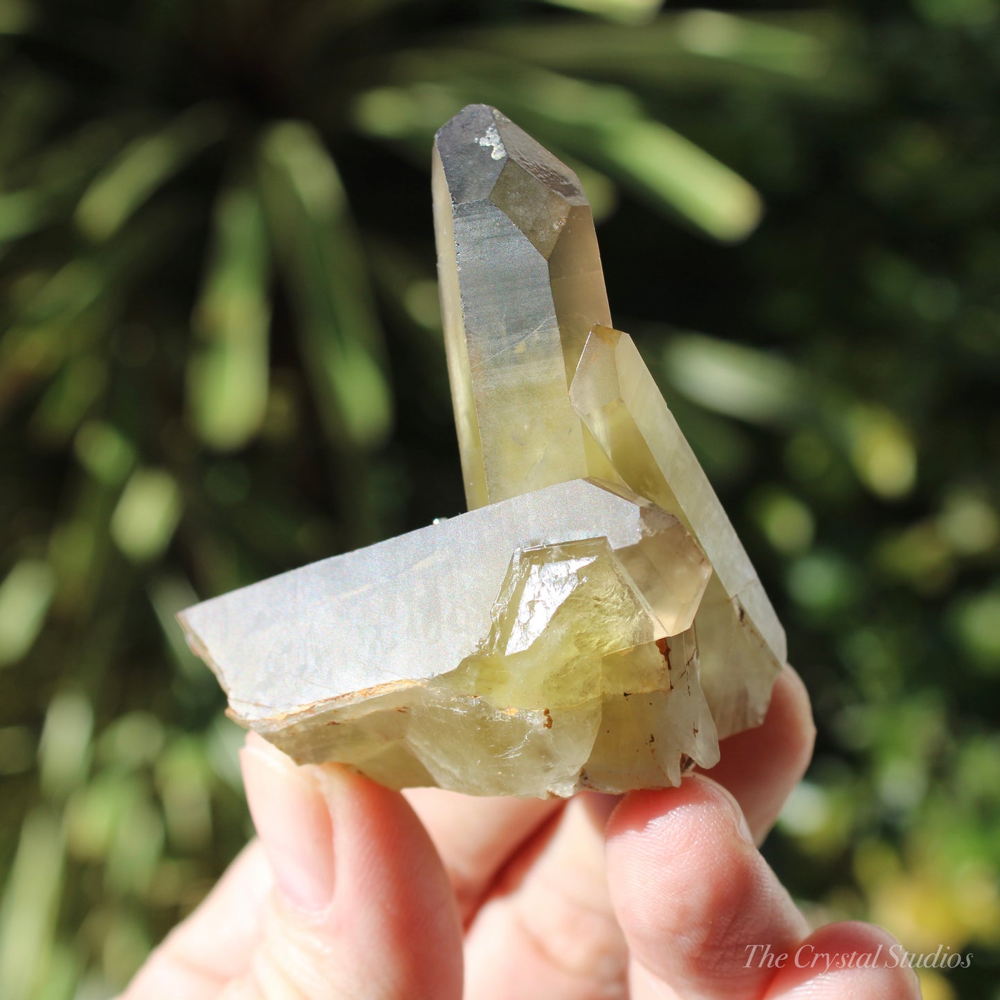 Smokey Citrine Natural Crystal Cluster