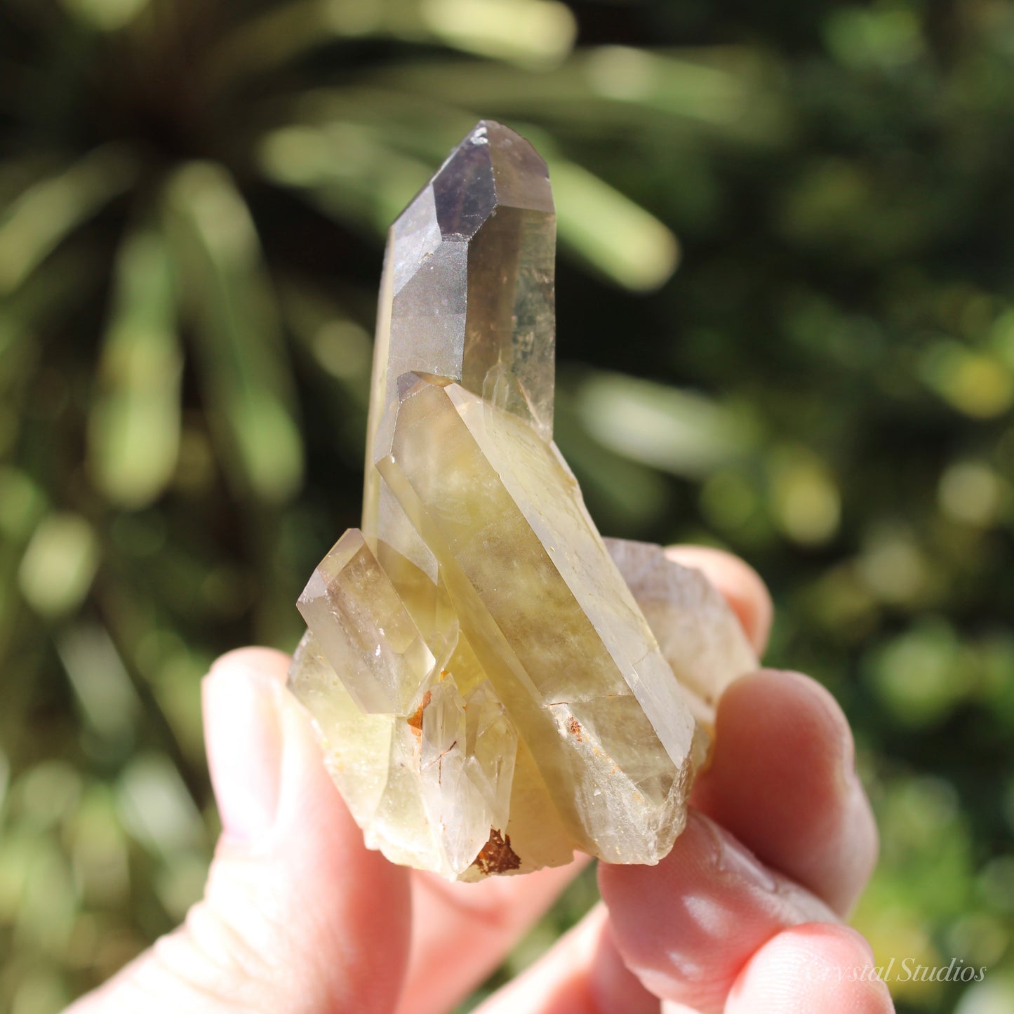 Smokey Citrine Natural Crystal Cluster