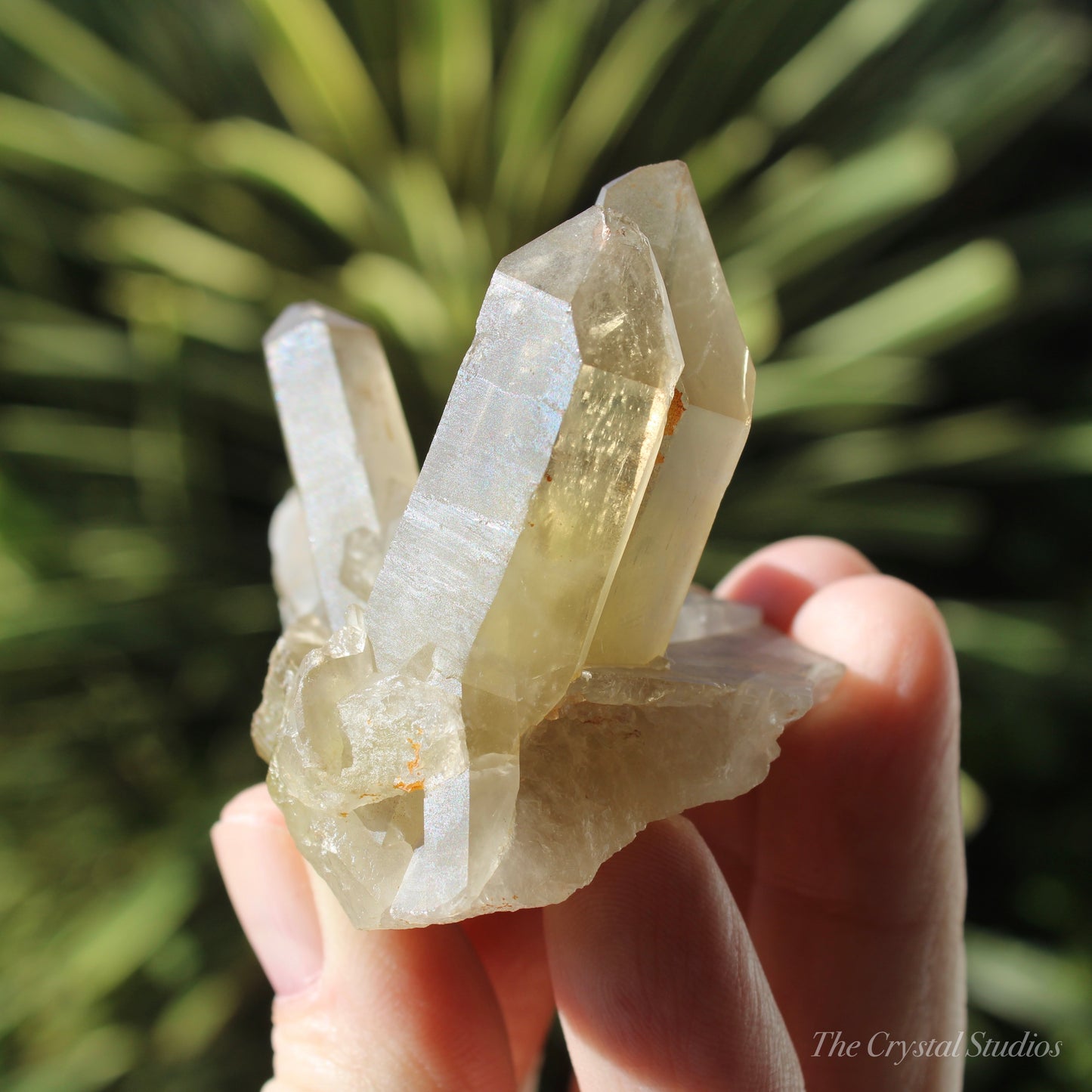 Smokey Citrine Natural Crystal Cluster