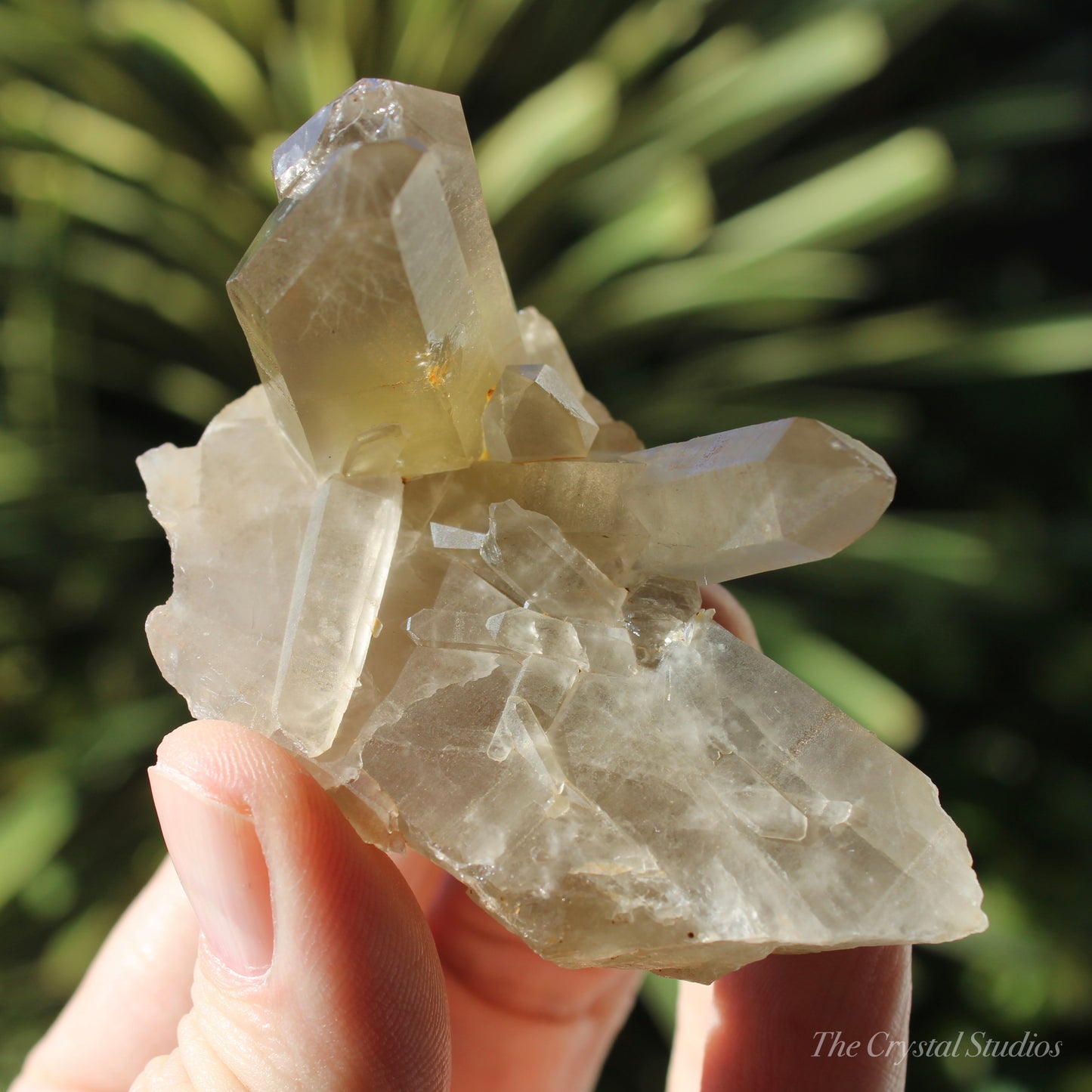 Smokey Citrine Natural Crystal Cluster