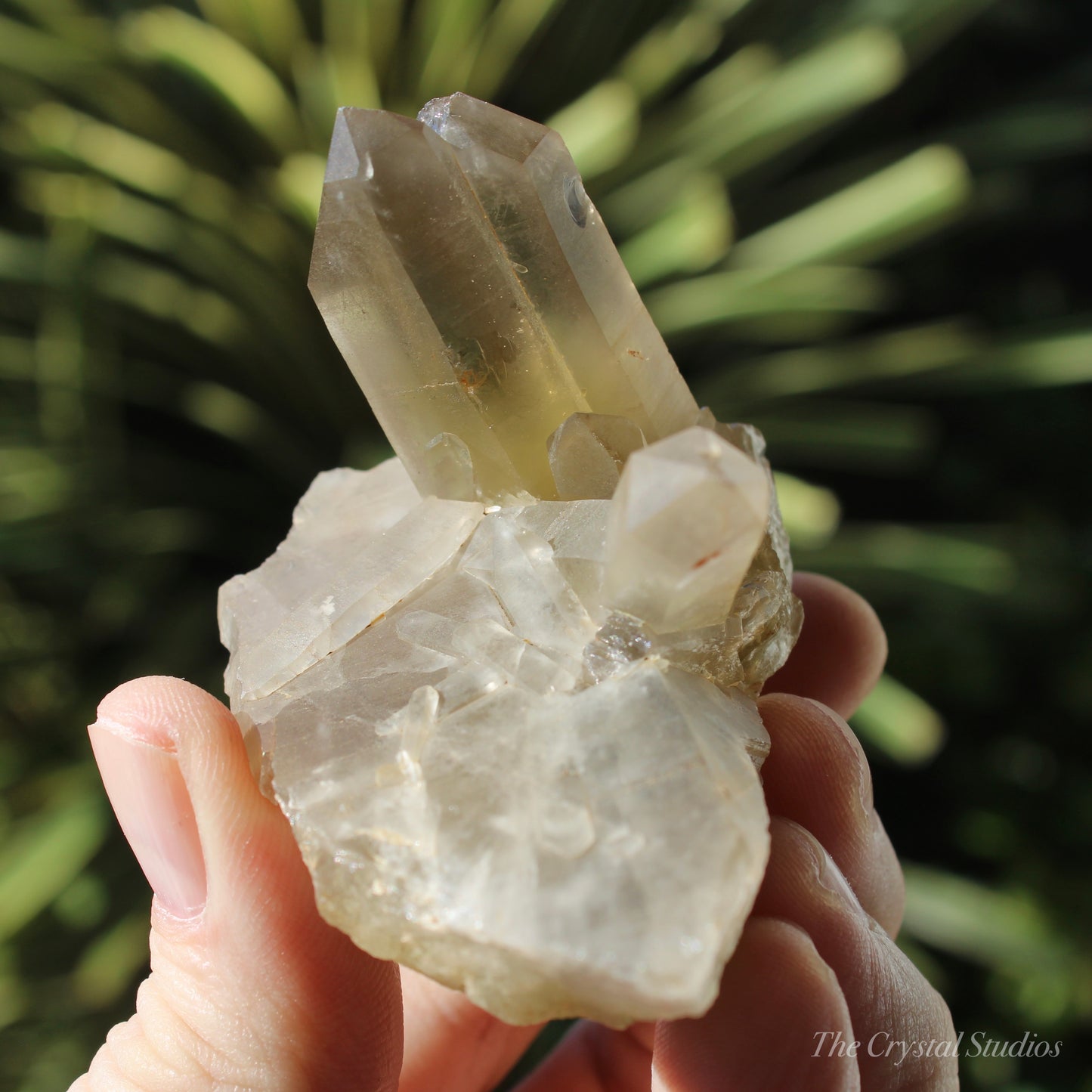 Smokey Citrine Natural Crystal Cluster