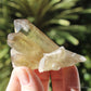 Smokey Citrine Natural Crystal Cluster