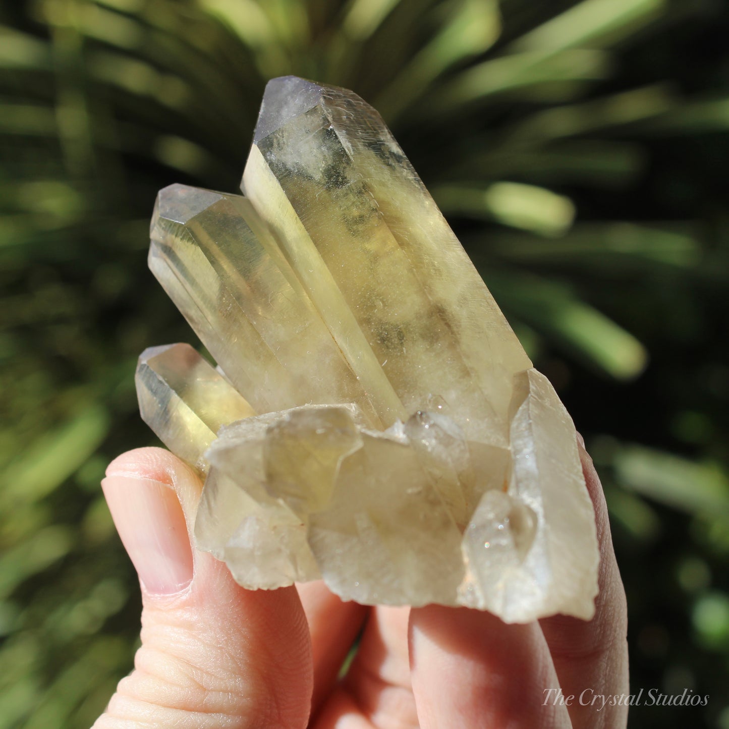 Smokey Citrine Natural Crystal Cluster