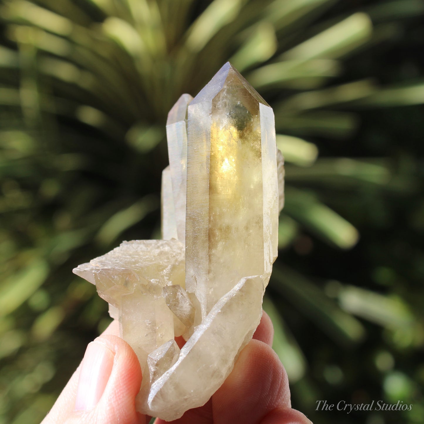 Smokey Citrine Natural Crystal Cluster