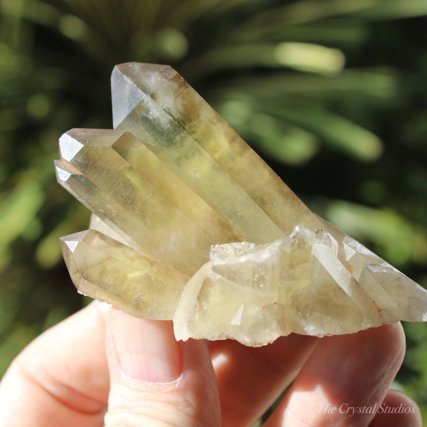 Smokey Citrine Natural Crystal Cluster