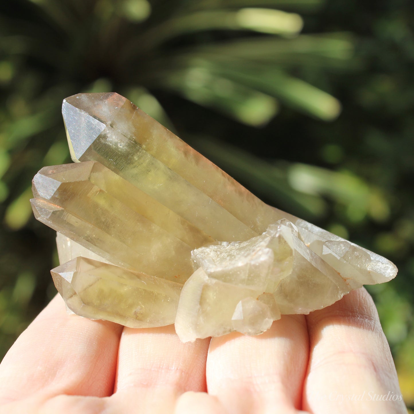 Smokey Citrine Natural Crystal Cluster