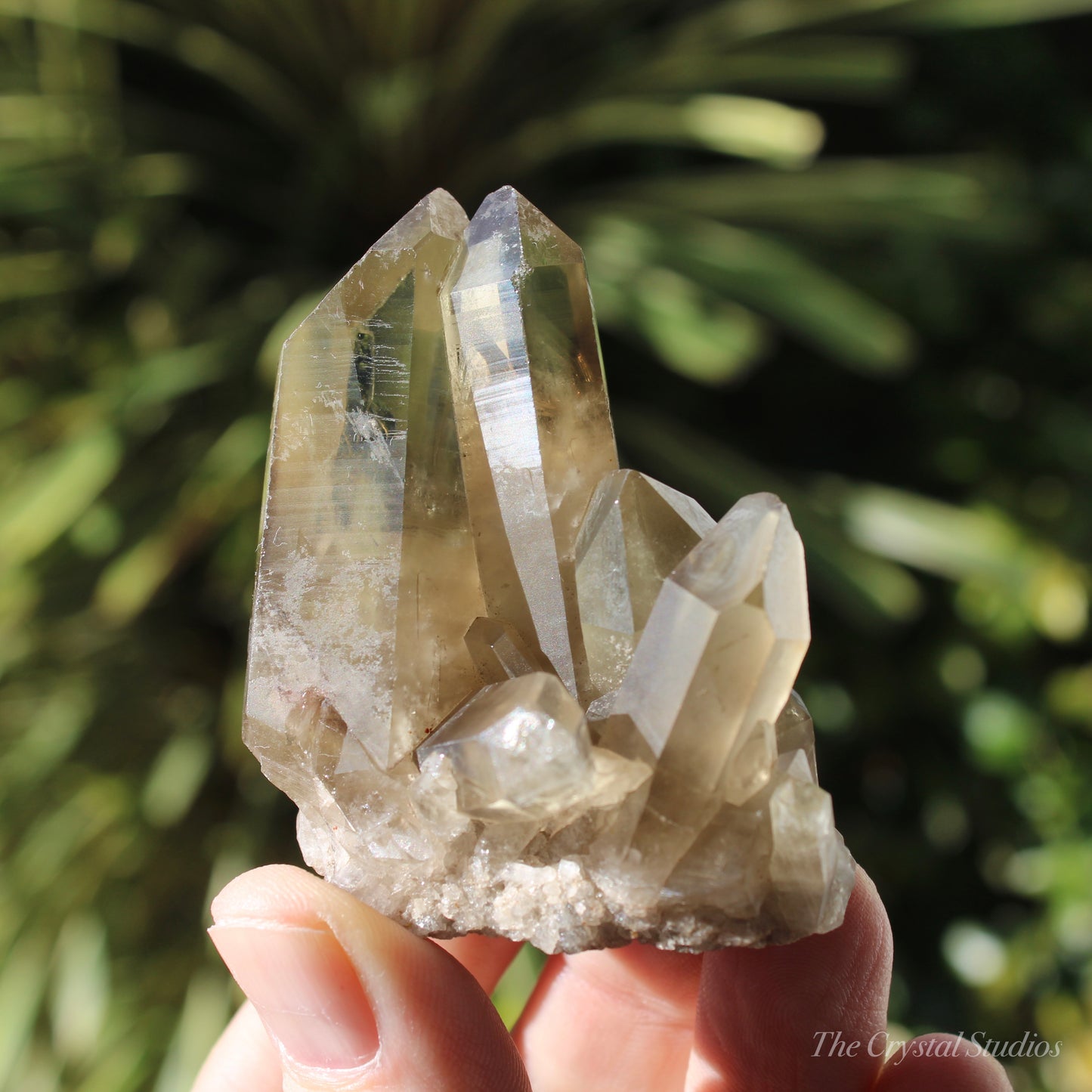 Smokey Citrine Natural Crystal Cluster