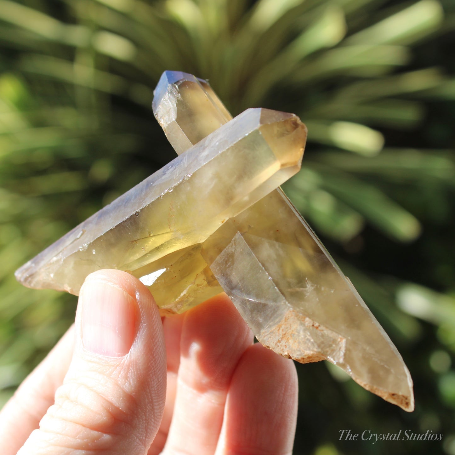 Smokey Citrine Natural Crystal Cluster