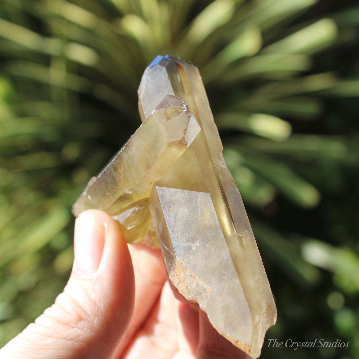 Smokey Citrine Natural Crystal Cluster