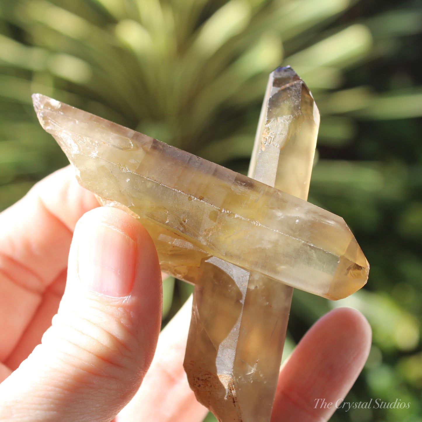 Smokey Citrine Natural Crystal Cluster