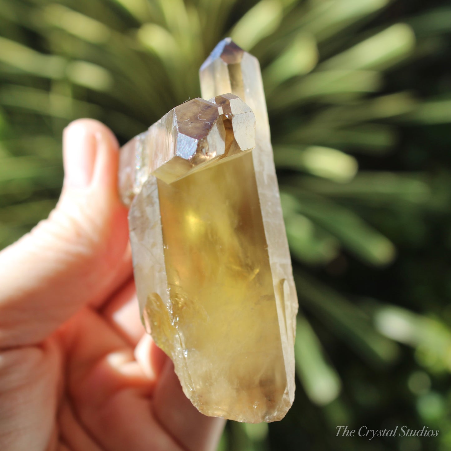 Smokey Citrine Natural Crystal Cluster