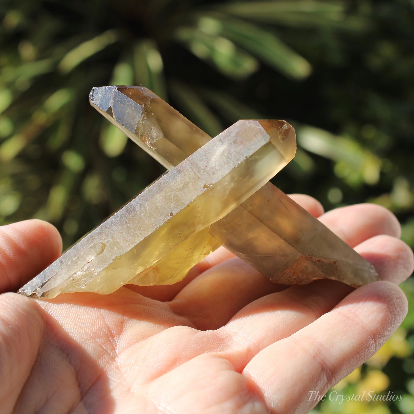 Smokey Citrine Natural Crystal Cluster