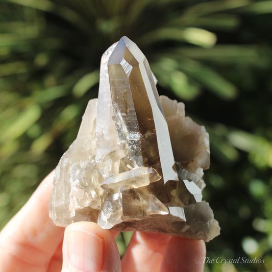 Smokey Citrine Natural Crystal Cluster