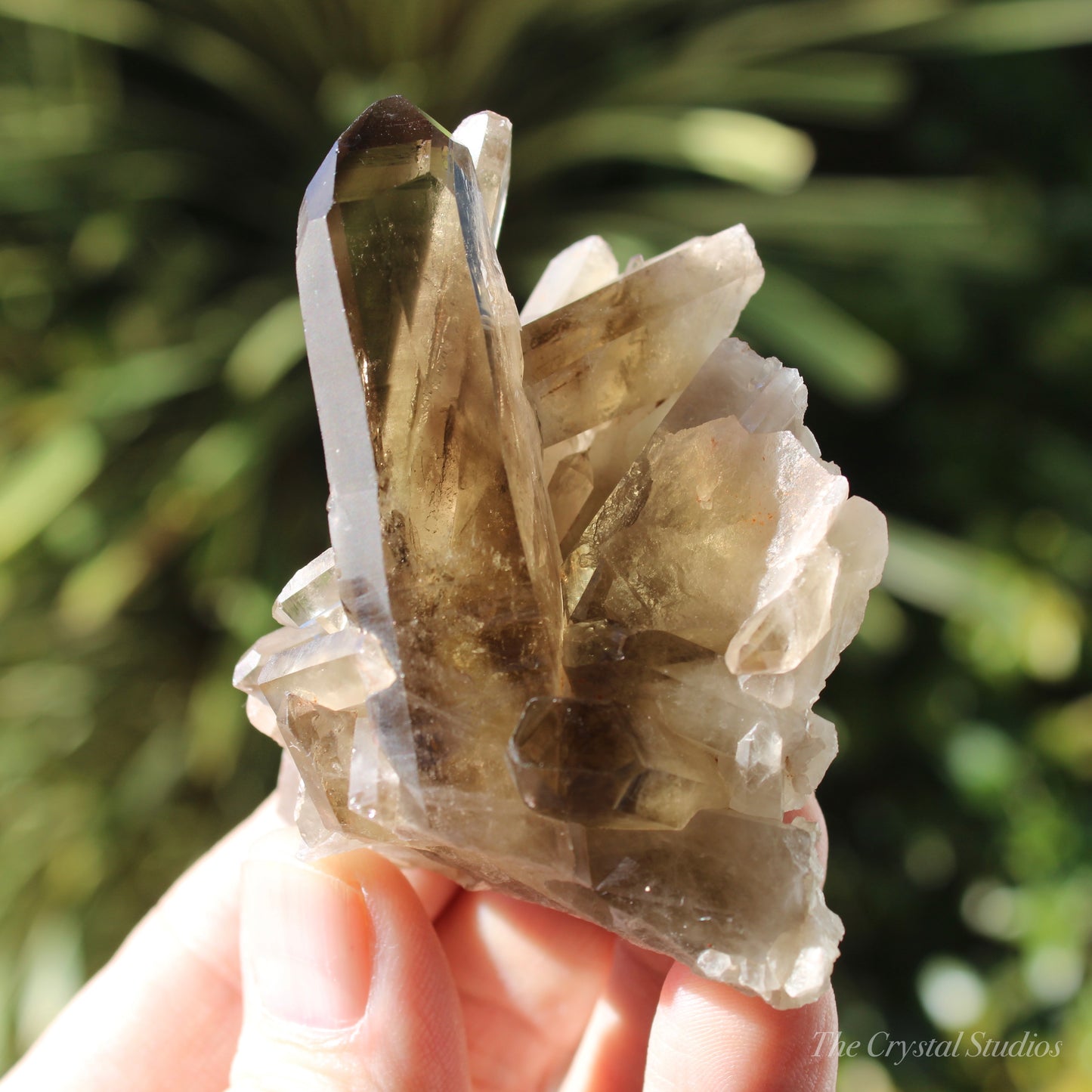 Smokey Citrine Natural Crystal Cluster