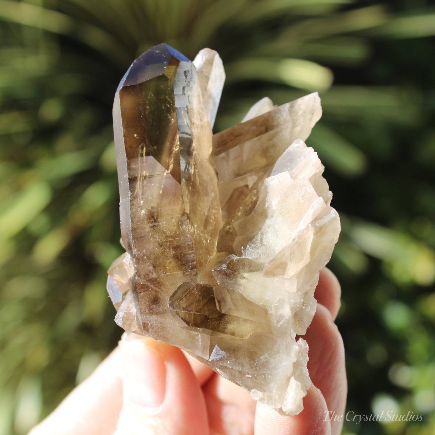 Smokey Citrine Natural Crystal Cluster