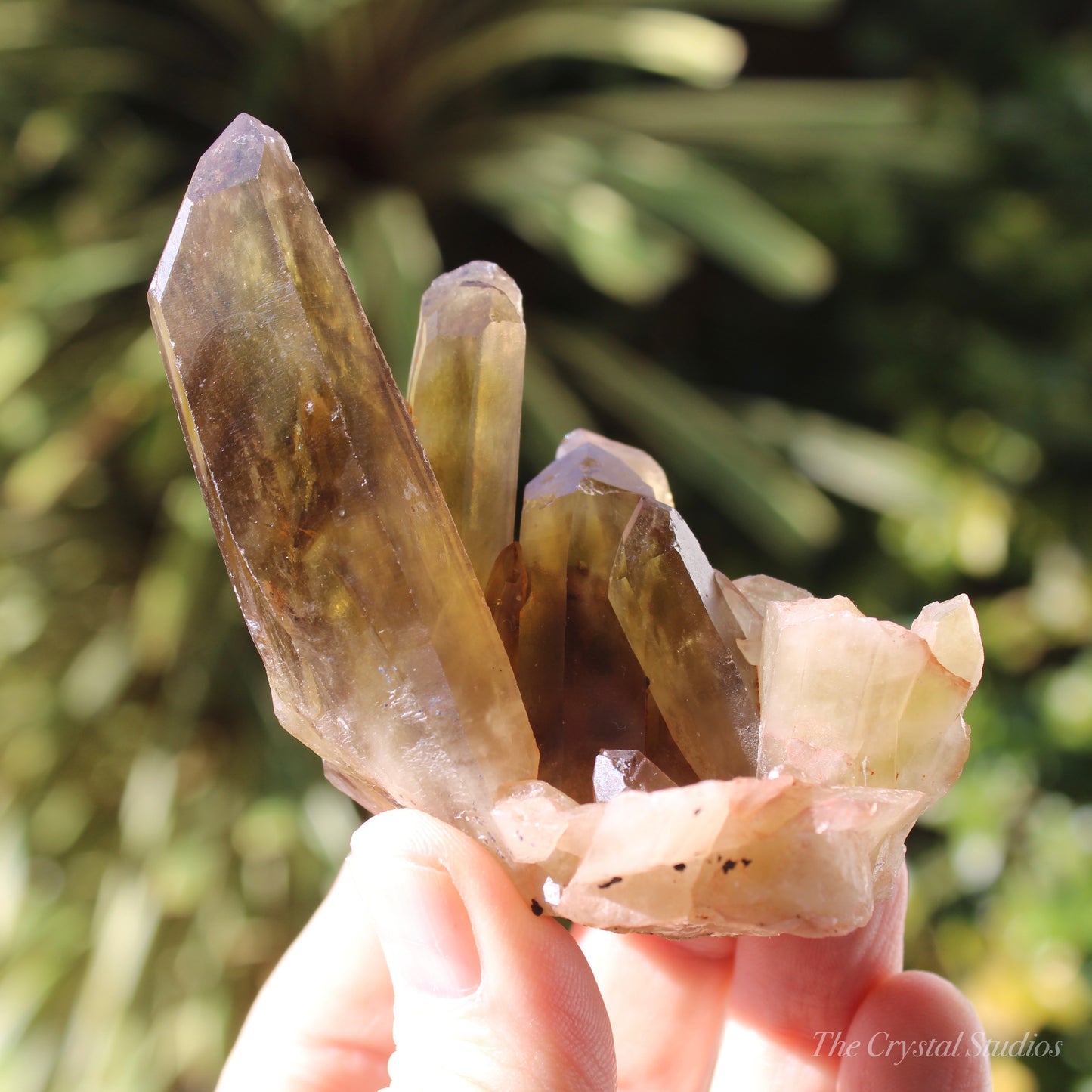 Smokey Citrine Natural Crystal Cluster