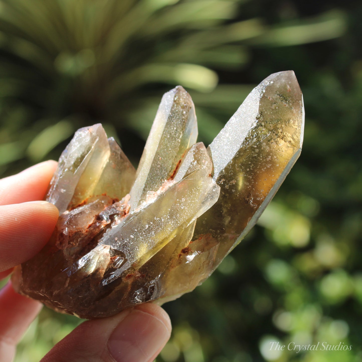 Smokey Citrine Natural Crystal Cluster