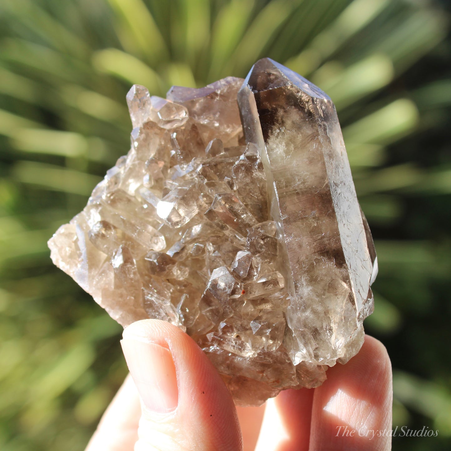 Smokey Citrine Natural Crystal Cluster