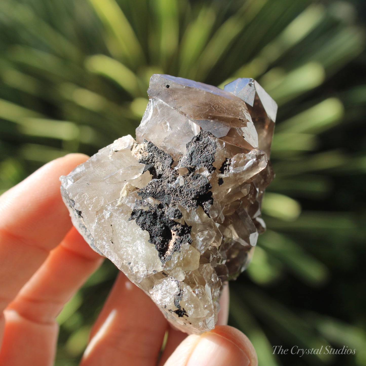 Smokey Citrine Natural Crystal Cluster