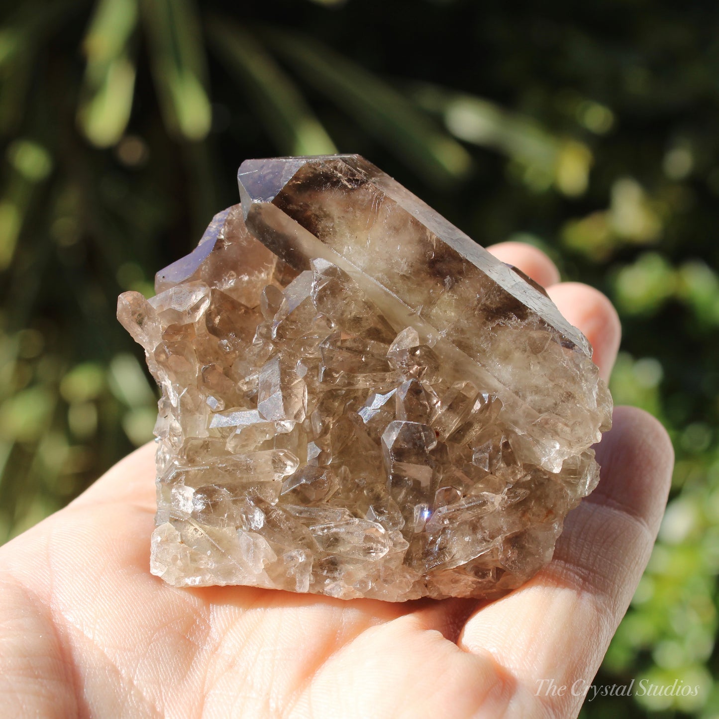 Smokey Citrine Natural Crystal Cluster