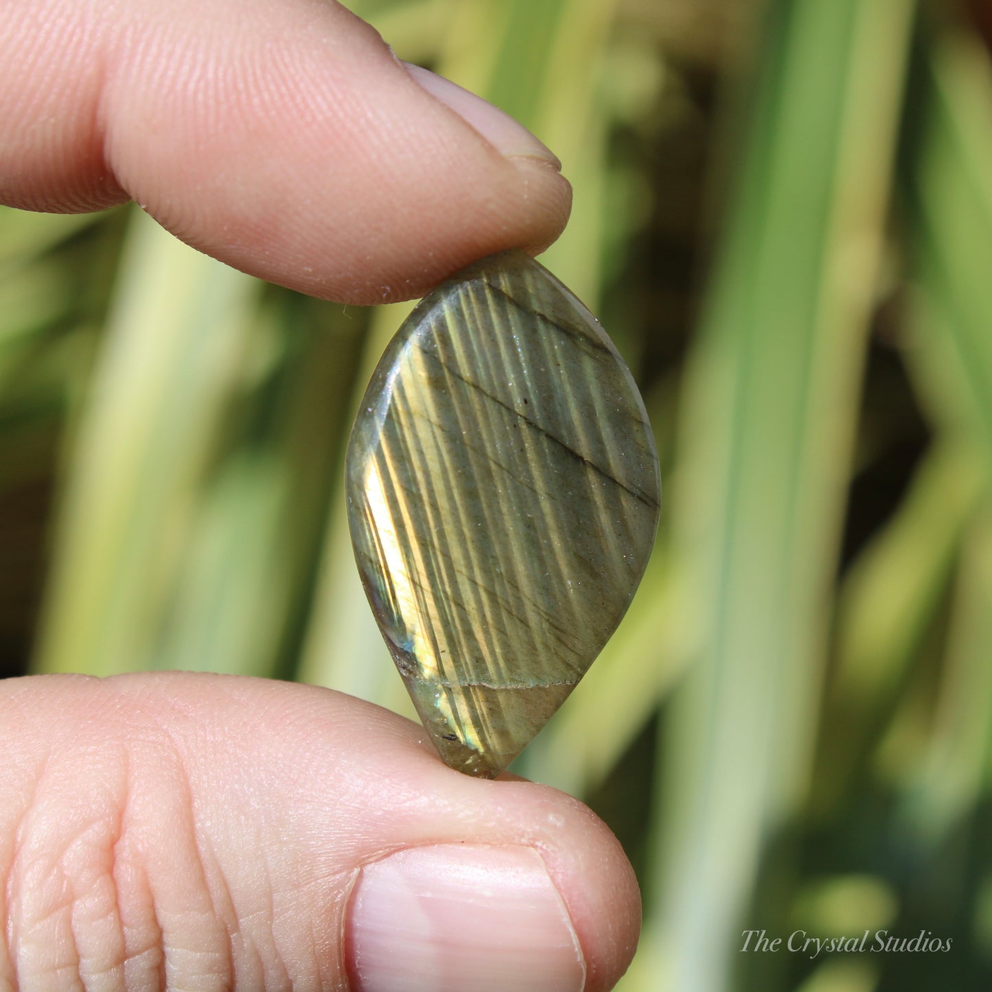 Labradorite Polished Cabochon Crystal