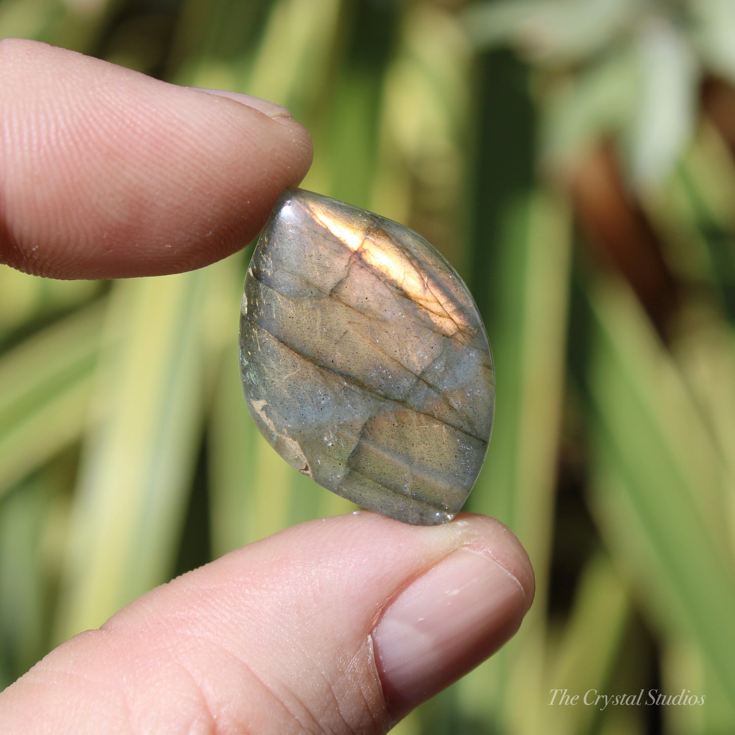 Labradorite Polished Cabochon Crystal