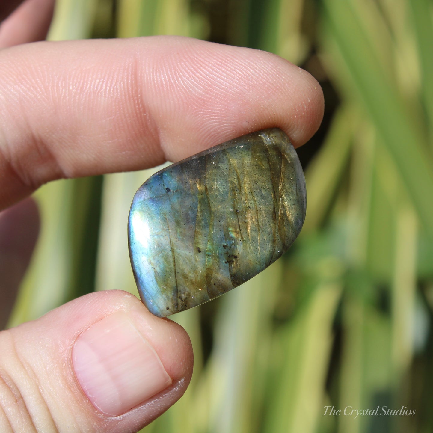 Labradorite Polished Cabochon Crystal