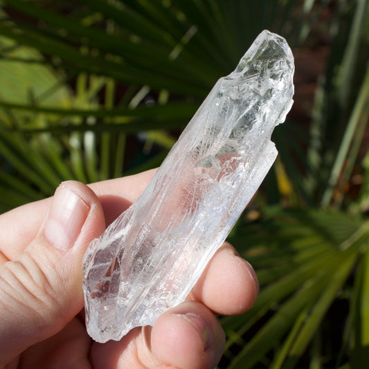 Lemurian Code of Freedom Quartz Natural Crystal