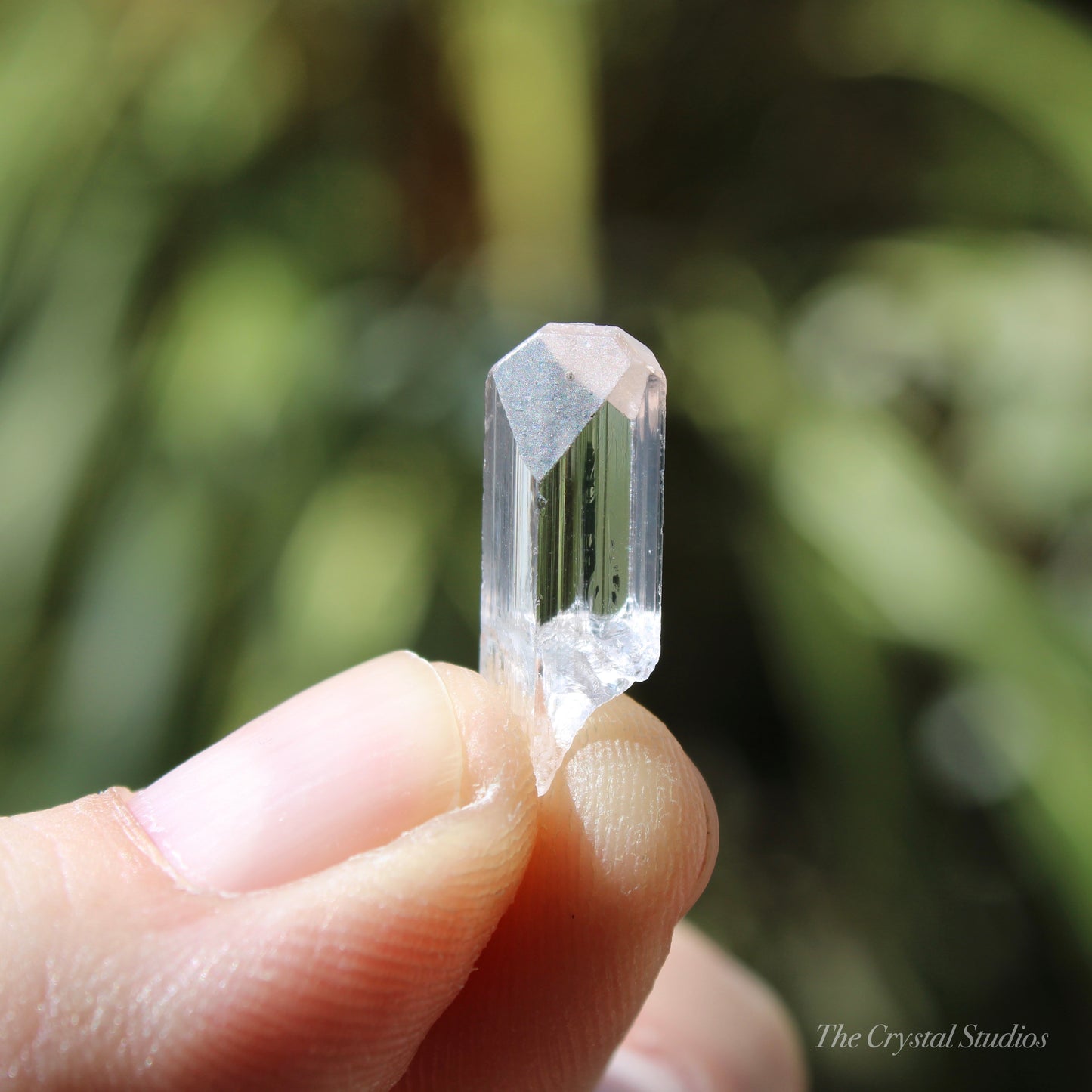 Danburite Natural Terminated Crystal