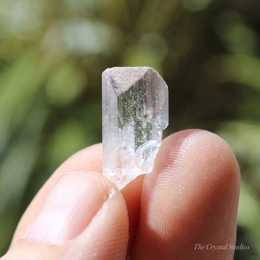 Danburite Natural Terminated Crystal