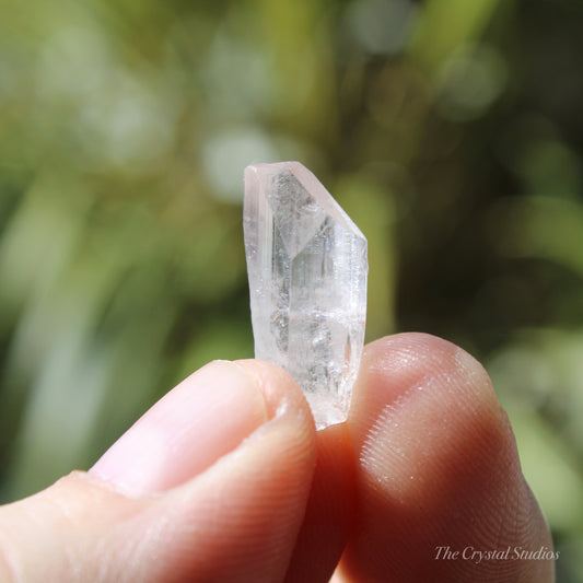 Danburite Natural Terminated Crystal