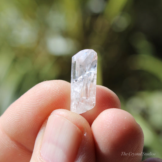 Danburite Natural Terminated Crystal