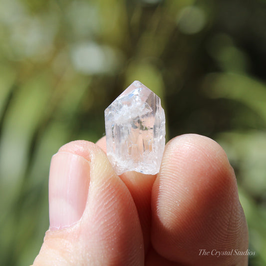 Danburite Natural Terminated Crystal