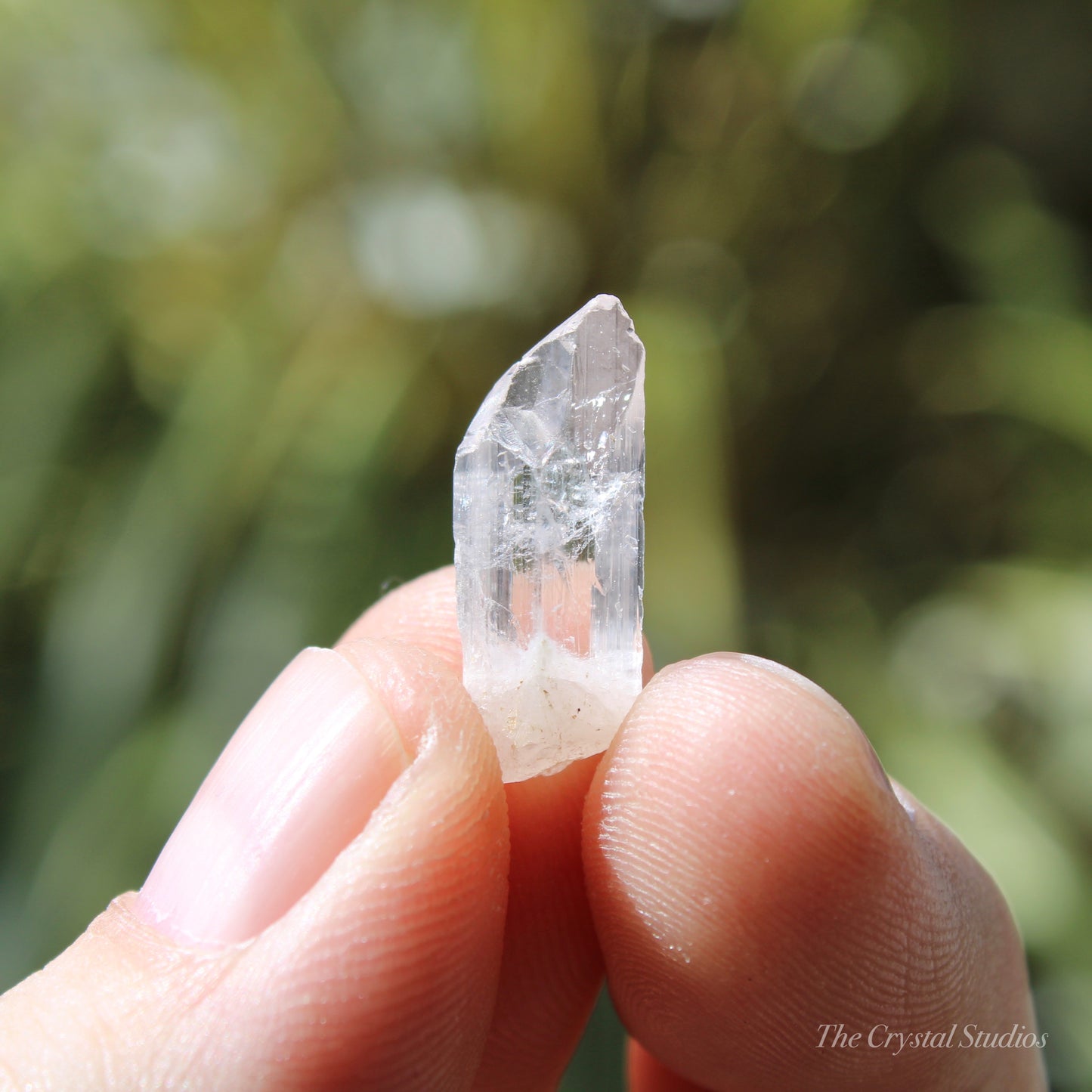 Danburite Natural Terminated Crystal