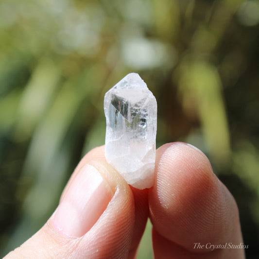 Danburite Natural Terminated Crystal