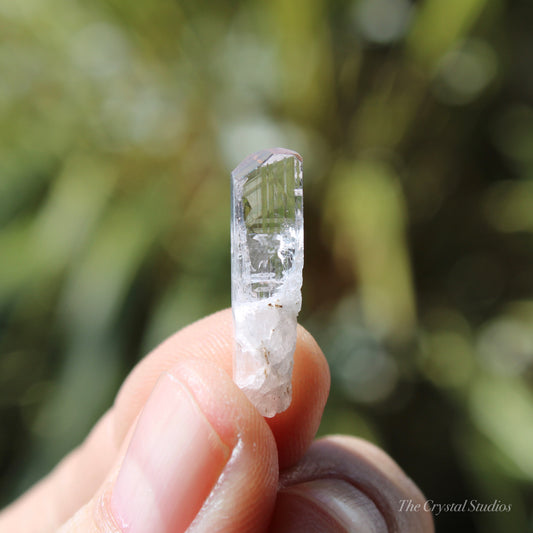 Danburite Natural Terminated Crystal