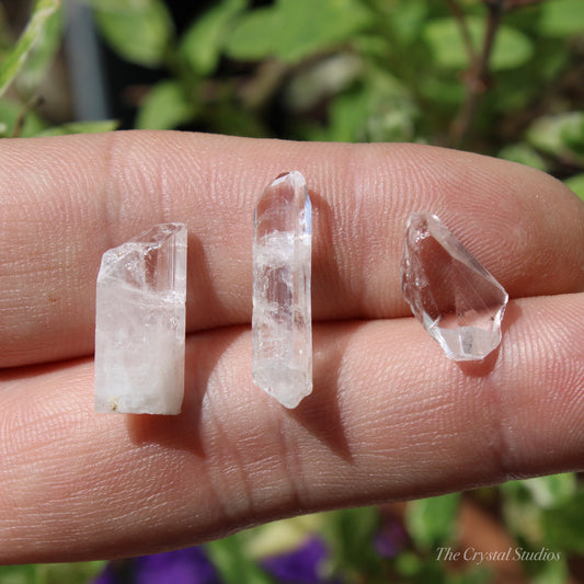 Danburite Natural Crystal Set