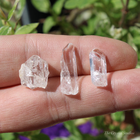 Danburite Natural Crystal Set