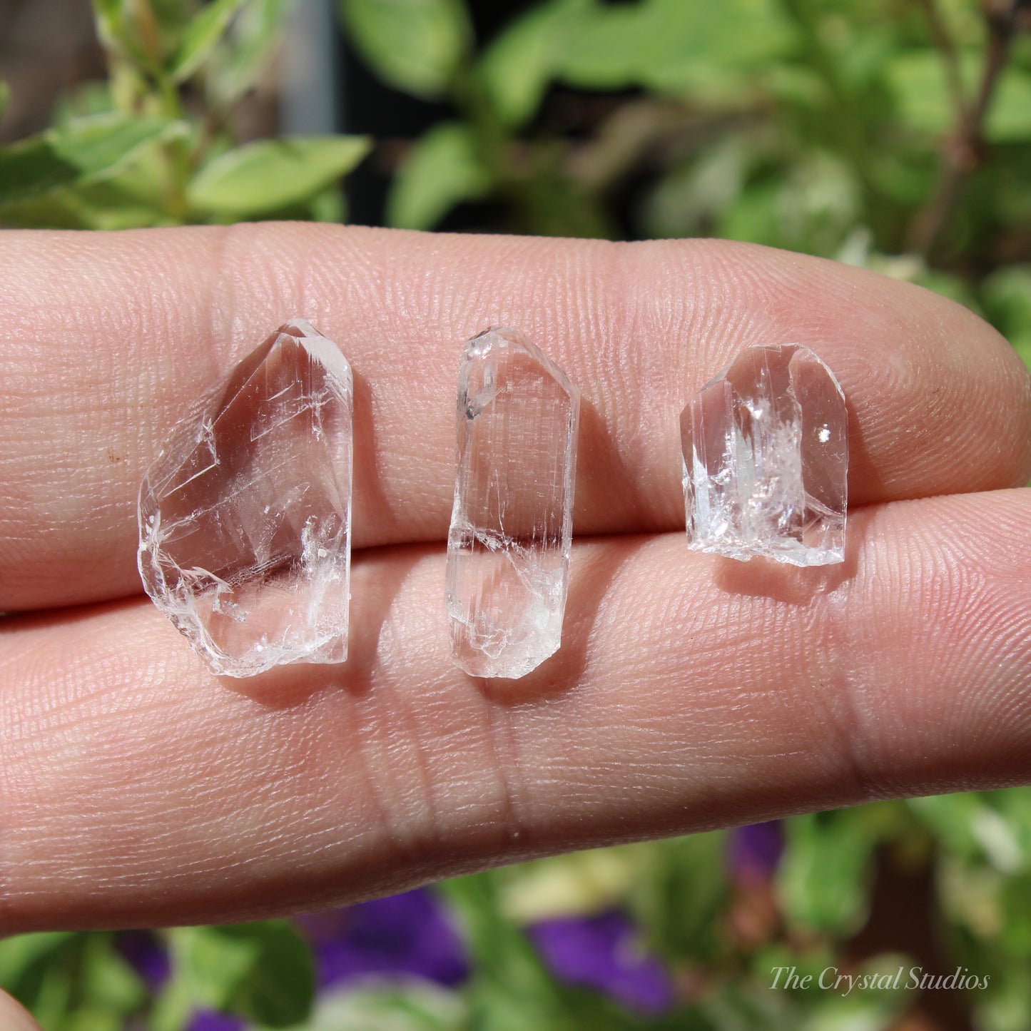 Danburite Natural Crystal Set