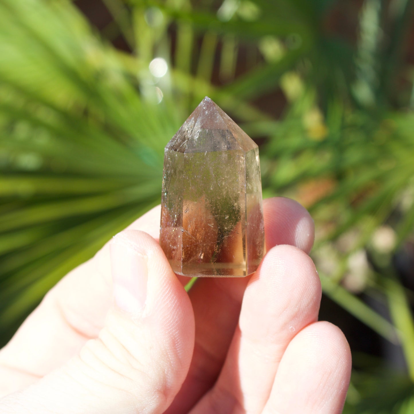 Smokey Quartz Small Polished Point Crystal