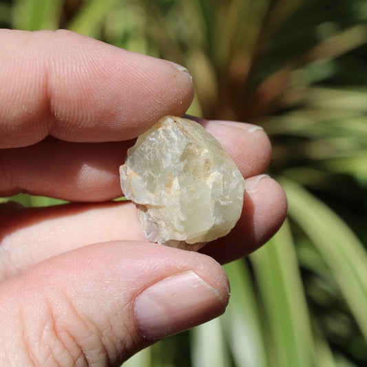 Moonstone Natural Small Crystal 6