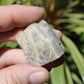 Moonstone Natural Medium Crystal 6