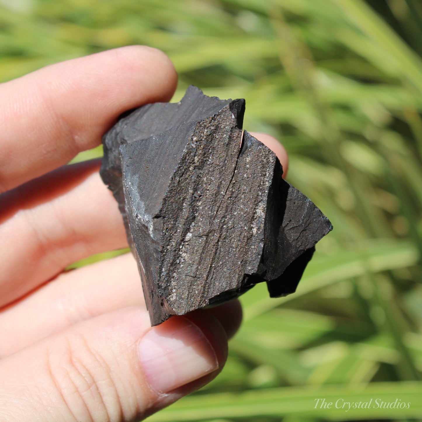 Whitby Jet Natural Crystal With Bark