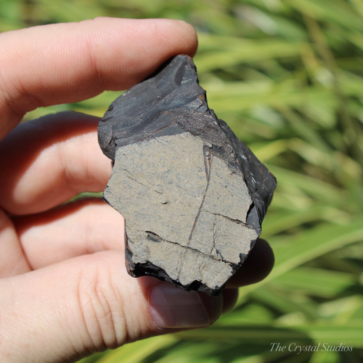 Whitby Jet Natural Crystal With Bark